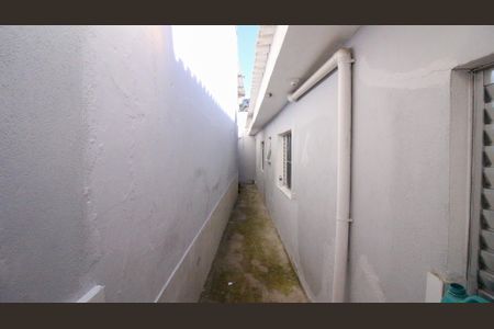 Área de Serviço de casa para alugar com 2 quartos, 60m² em Jardim Alto Alegre (sao Rafael), São Paulo