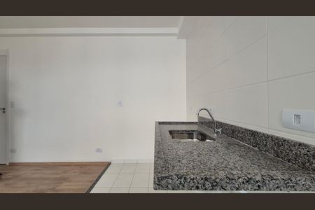 Cozinha de apartamento para alugar com 2 quartos, 42m² em Vila Aquilino, Santo André