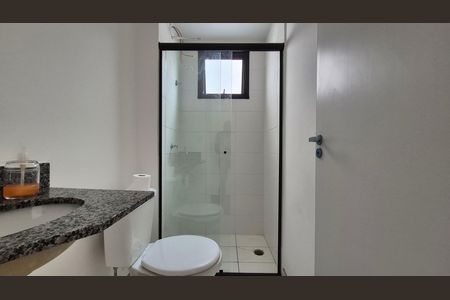 Banheiro de apartamento para alugar com 2 quartos, 42m² em Vila Aquilino, Santo André