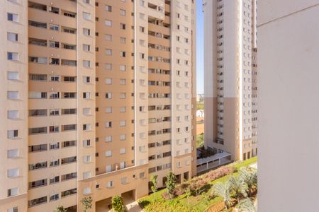 Apartamento para alugar com 58m², 2 quartos e 1 vagaVista da Sacada