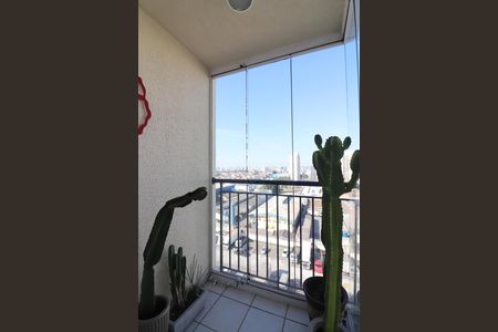Sala Sacada de apartamento para alugar com 3 quartos, 59m² em Planalto, São Bernardo do Campo