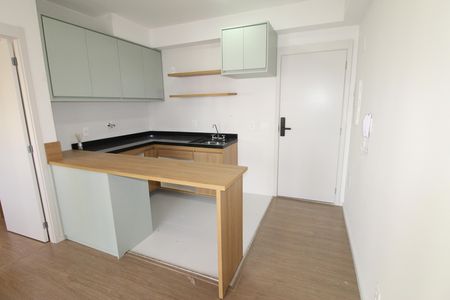 Apartamento para alugar com 33m², 1 quarto e 1 vagaCozinha