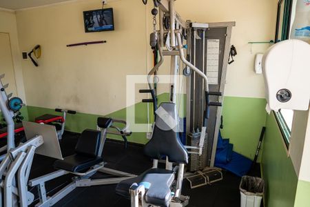 Área comum - Academia de apartamento para alugar com 3 quartos, 98m² em Vila São Bento, Campinas