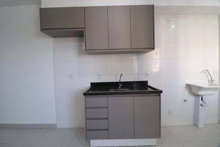 Cozinha de apartamento para alugar com 2 quartos, 58m² em Novo Mundo, Uberlândia