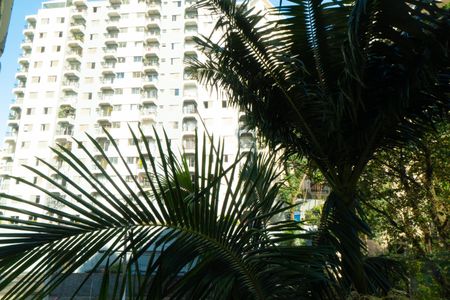 Apartamento à venda com 81m², 2 quartos e 1 vagaVista do Quarto 2