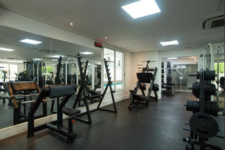 Apartamento à venda com 52m², 2 quartos e 1 vaga Apartamento à venda com 52m², 2 quartos e 1 vagaÁrea comum - Academia