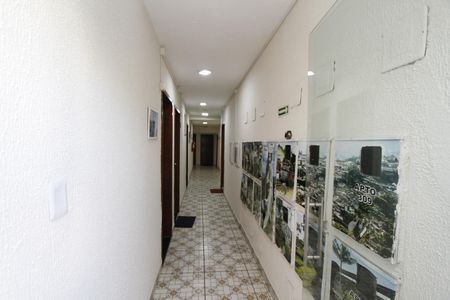Corredor de kitnet/studio para alugar com 1 quarto, 35m² em João Pinheiro, Belo Horizonte