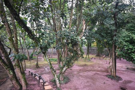 Bosque de apartamento para alugar com 2 quartos, 47m² em Vila das Belezas, São Paulo
