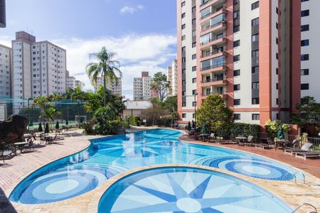 Área comum - Piscina de apartamento para alugar com 3 quartos, 76m² em Jardim Iris, São Paulo