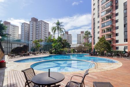 Área comum - Piscina de apartamento para alugar com 3 quartos, 76m² em Jardim Iris, São Paulo
