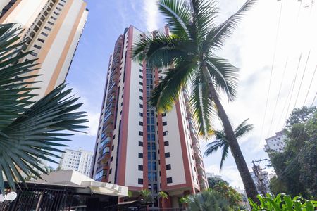 Fachada de apartamento para alugar com 3 quartos, 76m² em Jardim Iris, São Paulo