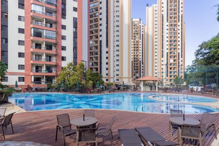 Área comum - Piscina de apartamento para alugar com 3 quartos, 76m² em Jardim Iris, São Paulo