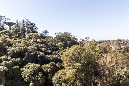 Apartamento para alugar com 51m², 2 quartos e 1 vagaVista do Quarto 1