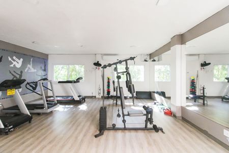Apartamento para alugar com 45m², 2 quartos e 1 vaga Apartamento para alugar com 45m², 2 quartos e 1 vagaÁrea comum - Academia