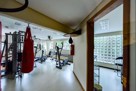 Área comum - Academia de apartamento para alugar com 3 quartos, 84m² em Jardim Chácara Inglesa, São Bernardo do Campo