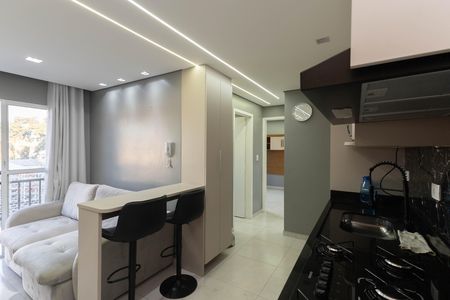 Cozinha  de apartamento para alugar com 2 quartos, 45m² em Vila Nova Carolina, São Paulo