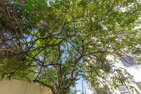 Área Comum de apartamento à venda com 2 quartos, 45m² em Parada Xv de Novembro, São Paulo