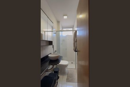 Banheiro 1 de apartamento à venda com 2 quartos, 48m² em Castelo, Belo Horizonte