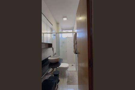 Banheiro 1 de apartamento à venda com 2 quartos, 48m² em Castelo, Belo Horizonte