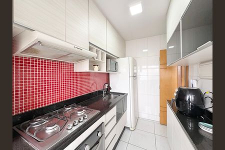 Cozinha de apartamento para alugar com 2 quartos, 44m² em Vila Cruz das Almas, São Paulo