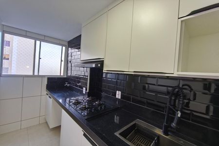 Cozinha de apartamento para alugar com 2 quartos, 51m² em Parque das Constelações, Campinas