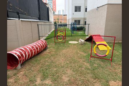 Área comum  de apartamento para alugar com 2 quartos, 33m² em Jardim Caravelas, São Paulo