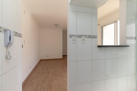 Cozinha de apartamento para alugar com 2 quartos, 47m² em Vila Mendes, São Paulo