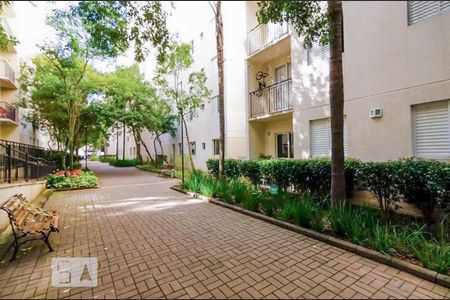 Área comum - Jardim de apartamento para alugar com 2 quartos, 47m² em Vila Mendes, São Paulo