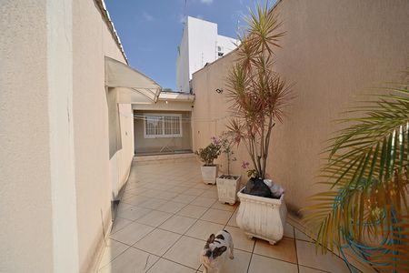 Área comum de casa para alugar com 2 quartos, 80m² em Vila Marieta, São Paulo