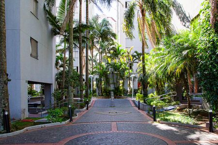 Apartamento à venda com 3 quartos, 64m² em Vila Ivone, São Paulo