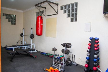 Apartamento à venda com 3 quartos, 64m² em Vila Ivone, São Paulo