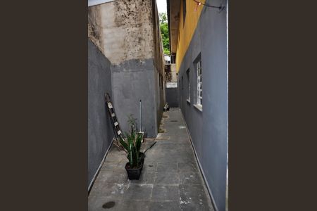 Detalhe - Quintal de casa para alugar com 3 quartos, 130m² em Jardim Monte Alegre (zona Norte), São Paulo