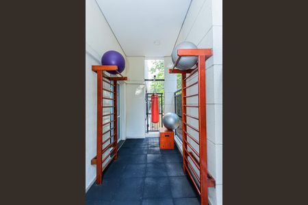 Área comum - Academia de apartamento para alugar com 2 quartos, 81m² em Vila Cruz das Almas, São Paulo