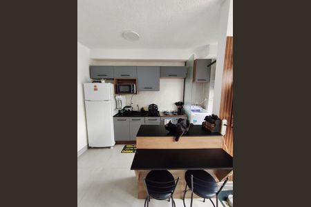 Cozinha de apartamento para alugar com 2 quartos, 38m² em Jardim Campos Elíseos, Campinas