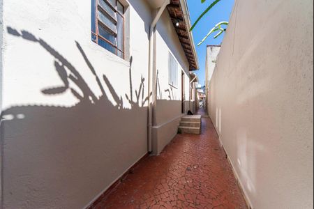 Quintal de casa à venda com 3 quartos, 266m² em Vila Sao Pedro, Santo André
