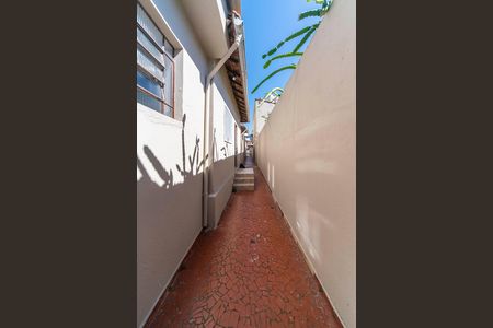 Quintal de casa à venda com 3 quartos, 266m² em Vila Sao Pedro, Santo André