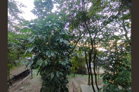 Apartamento para alugar com 66m², 2 quartos e sem vagaVista da Rua