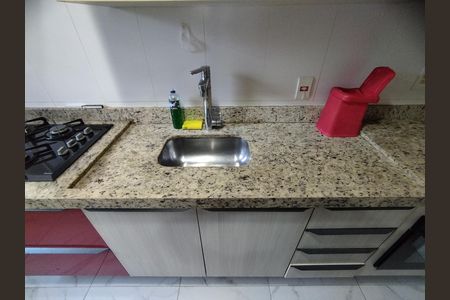 Apartamento para alugar com 66m², 2 quartos e sem vagaCozinha - Torneira
