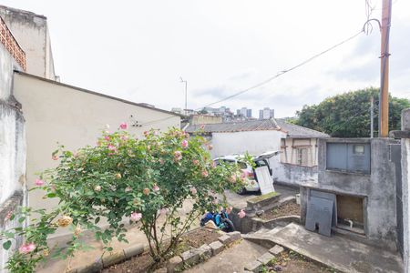 Casa para alugar com 280m², 2 quartos e 3 vagasQuintal