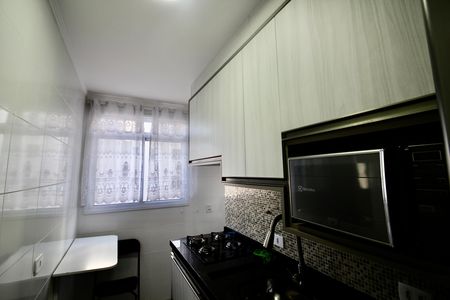 Cozinha de apartamento para alugar com 1 quarto, 35m² em Vila Guilhermina, São Paulo