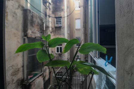 Apartamento para alugar com 1 quarto, 32m² em Farroupilha, Porto Alegre