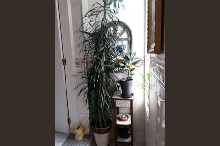 Casa à venda com 250m², 3 quartos e 5 vagas