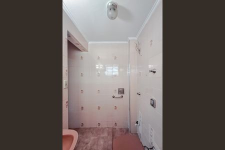 Banheiro de apartamento para alugar com 1 quarto, 52m² em Cambuci, São Paulo