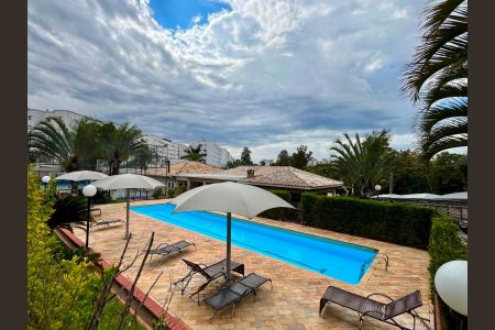 Área comum - Piscina de apartamento à venda com 3 quartos, 60m² em Jardim Nova Europa, Campinas