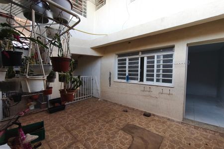 Quintal de casa para alugar com 2 quartos, 100m² em Cidade Jardim, Campinas