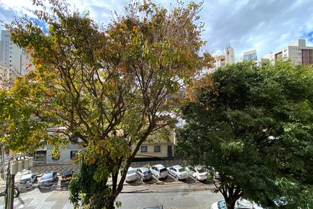 Vista da Suite de apartamento para alugar com 2 quartos, 80m² em Lourdes, Belo Horizonte