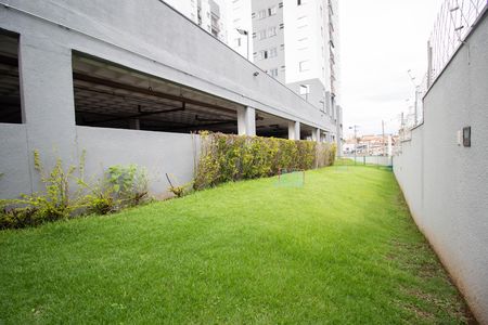 Área comum - Espaço Criança de apartamento para alugar com 2 quartos, 55m² em Vila Palmeiras, São Paulo