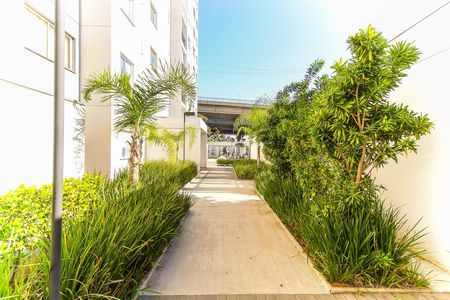 Apartamento para alugar com 40m², 2 quartos e sem vagaÁrea comum