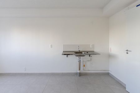 Cozinha e Área de Serviço de apartamento para alugar com 1 quarto, 28m² em Parque Industrial Tomas Edson, São Paulo