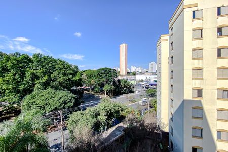 Apartamento para alugar com 63m², 3 quartos e 1 vaga Apartamento para alugar com 63m², 3 quartos e 1 vagaVista do Quarto 1